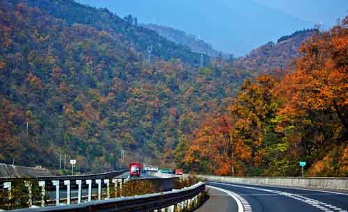 秋游正當時！成都租車旅游選哪一條？